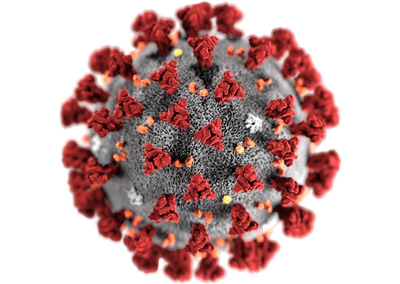 Coronavirus: Microsoft gibt Umsatzwarnung heraus