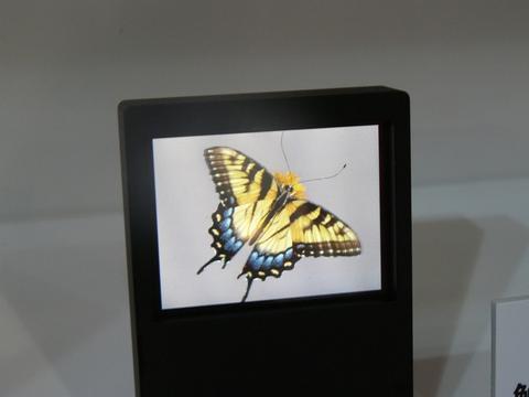 Sharp-Displays mit Schweizer Technologie