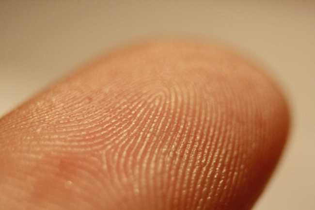 920 Millionen Smartphones mit Fingerprintsensor - Bild 1