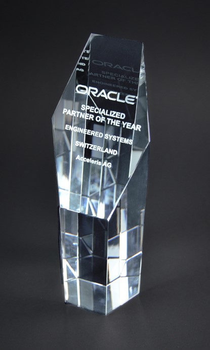 Acceleris gewinnt Oracle Partner of the Year Award