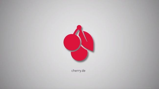 Cherry geht mit Ausgabepreis von 32 Euro an die Börse