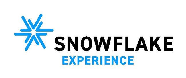 Schweizer Digitalagentur Snowflake erhält Rebranding und neue Marken 