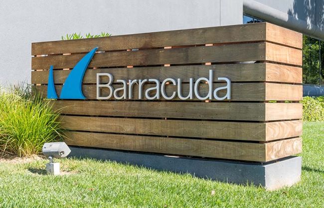 Barracuda richtet Partnerprogramm auf hybride Go-to-Market-Konzepte aus