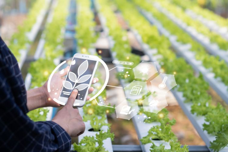 Also partnert für Smart Farming mit Libelium