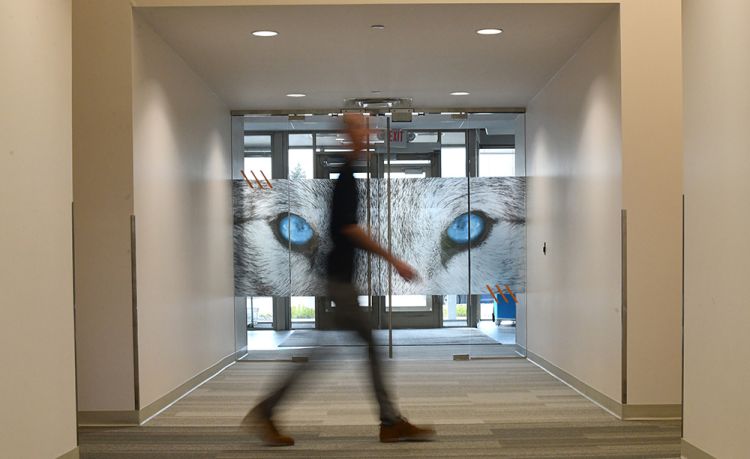 Arctic Wolf stärkt MSP-Partnerstrategie und Plattform
