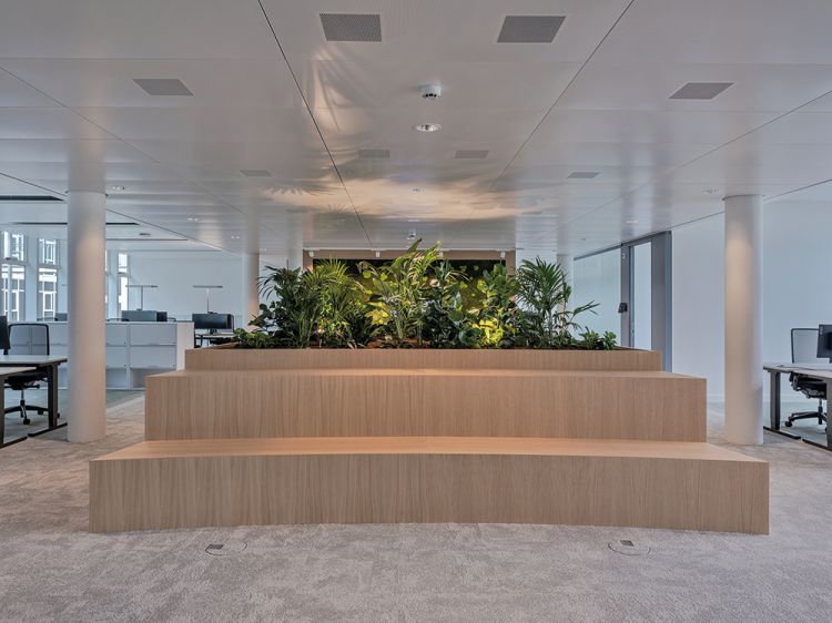 Firmenkultur bei Aveniq: Wenn Türen wirklich offen stehen