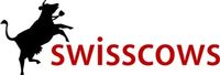 Schweizer Suchmaschine Swisscows kooperiert mit Amazon