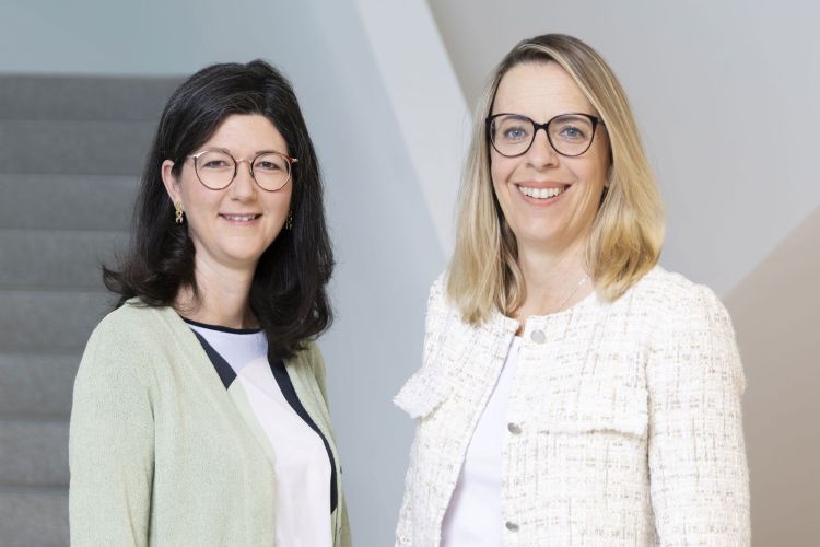 Annette Fink wird CEO von All Consulting