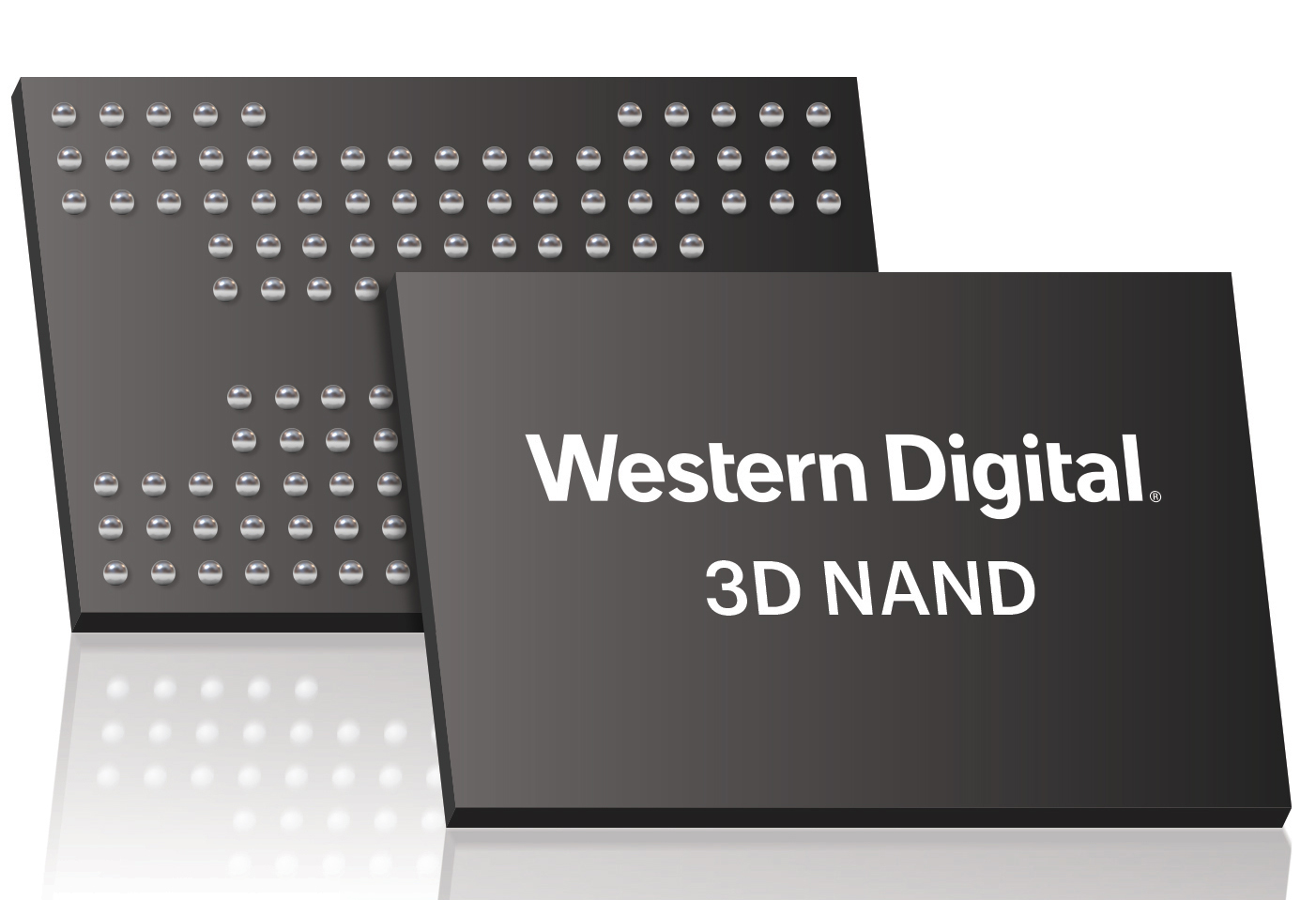 Western Digital glänzt mit Rekordumsatz