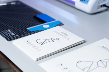 Secomp distribuiert neu Displayschutz-Lösungen von Rabbiter