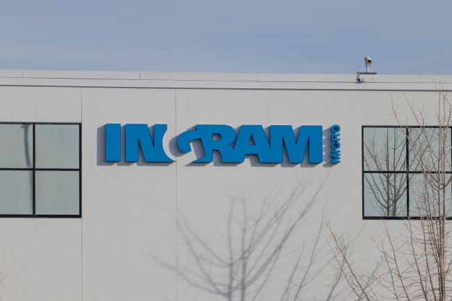 Ingram Micro vertreibt Newland-Produkte neu im gesamten EMEA-Raum - Bild 1