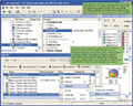 Business Intelligence à la carte