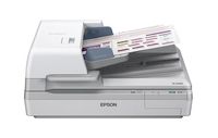 Spigraph distribuiert Business-Scanner von Epson